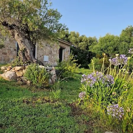 Maison Type Bergerie Proche Porto-vecchio Porto-Vecchio (Corsica)