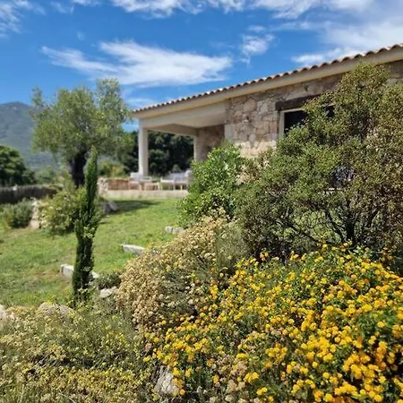 Maison Type Bergerie Proche Porto-vecchio Villa *