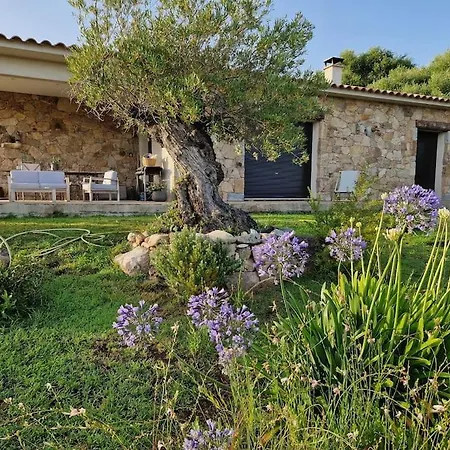 Maison Type Bergerie Proche Porto-vecchio *